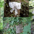 2005-Schemerzone0.jpg